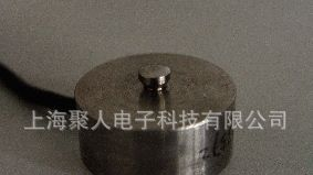 微型称重传感器(RSL15)