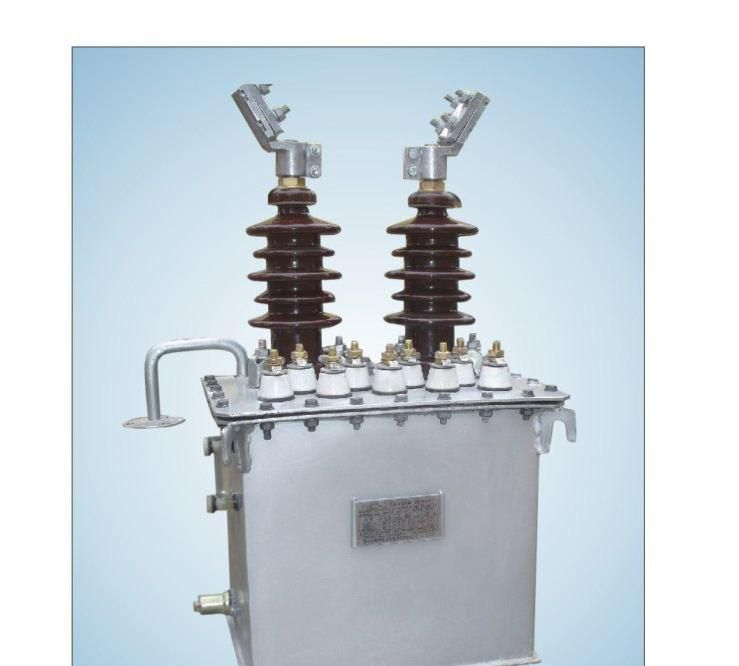 10KV电流互感器 LJW-10W2 户外 油浸式电流互感器-保定冀中电力