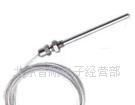 供应PT100热电阻热电偶传感器