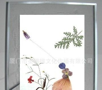 押花画LED水晶灯/工艺画