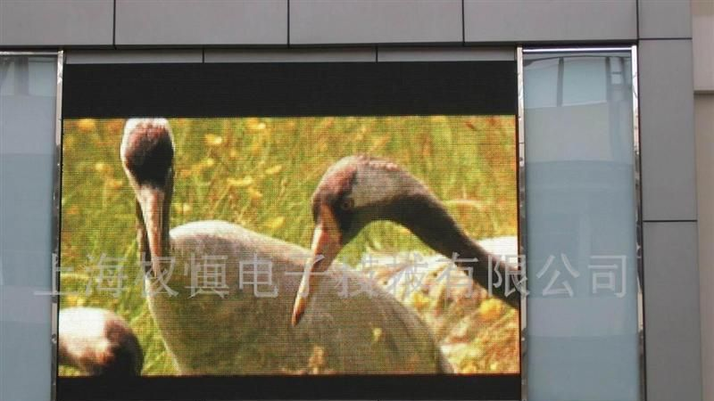供应LED显示屏,电子显示屏,LED大屏幕(图)