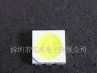 高品质 3528白光/3528白灯/3528贴片