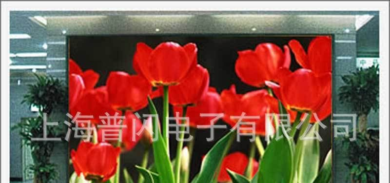 led显示屏、P6室内全彩LED电子屏、上海电子显示屏、led电子屏