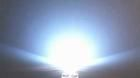 供应 led5MM草帽白光 2000-2500MCD 超亮草帽白灯