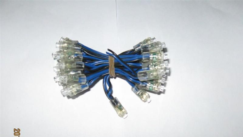 河源代理LED外露灯串生产厂家厂家  LED灯串 LED模组