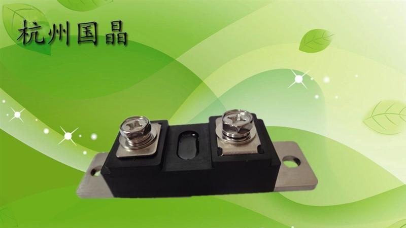 快恢复二极管模DH2F200N4S