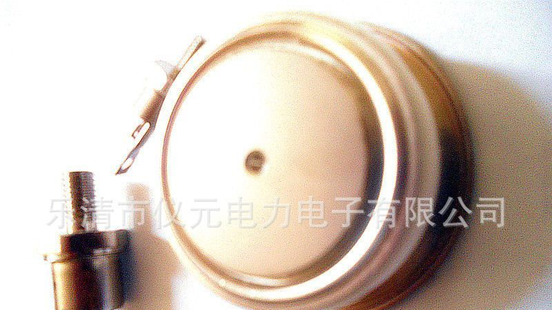 供应普通晶闸管可控硅L-PUK（DO-200AB)