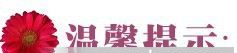 生产供应 连接器插头  连接器插孔