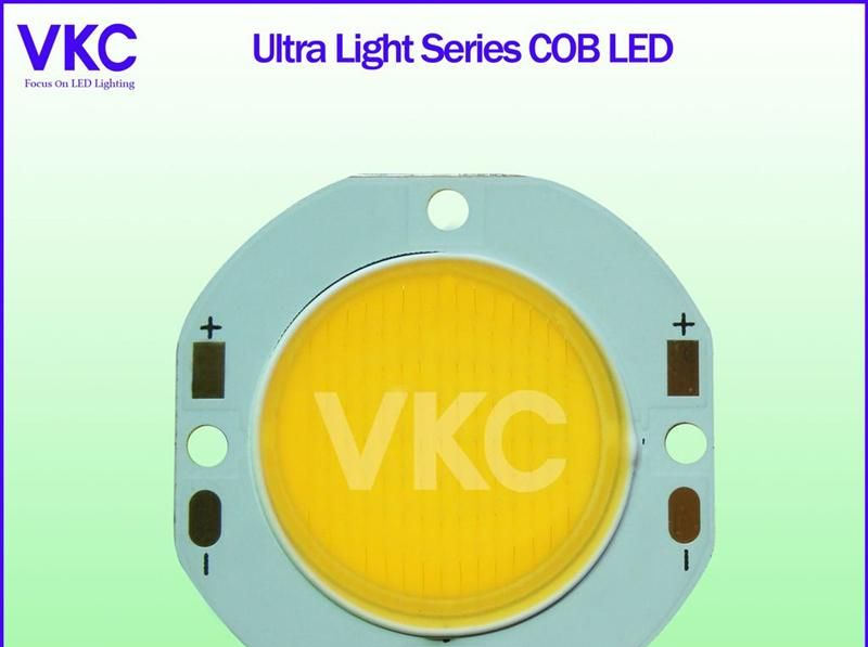 供应圆形面光源 COB LED 20W 集成封装 白光LED