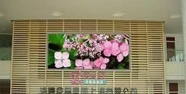 无锡led显示屏  P20室内全彩 LED