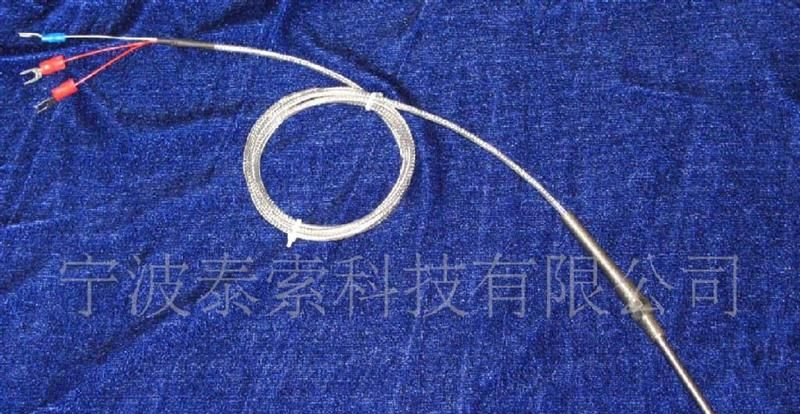 供应Pt100热电阻(图)