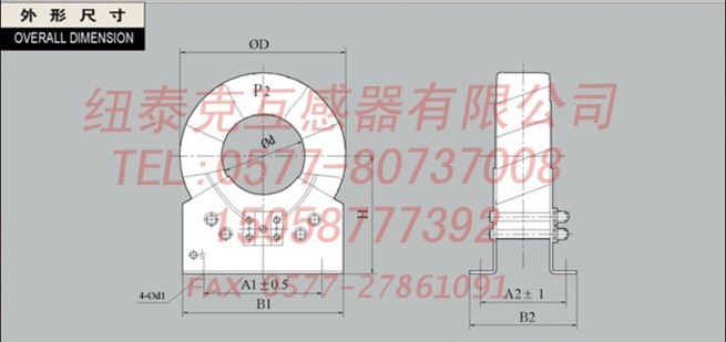 纽泰克 LJ-4户内零序电流互感器 电感器 南京 新疆 乌鲁木齐