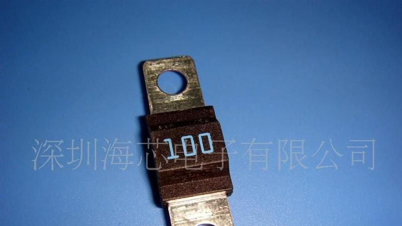 供应LITTELFUSE498100保险丝