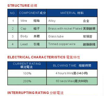 31F 美规玻璃快断保险丝  125V 250V