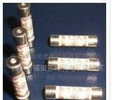 BUSSMANN 陶瓷保险管，SEM陶瓷保险管，BS插头上的陶瓷保险管