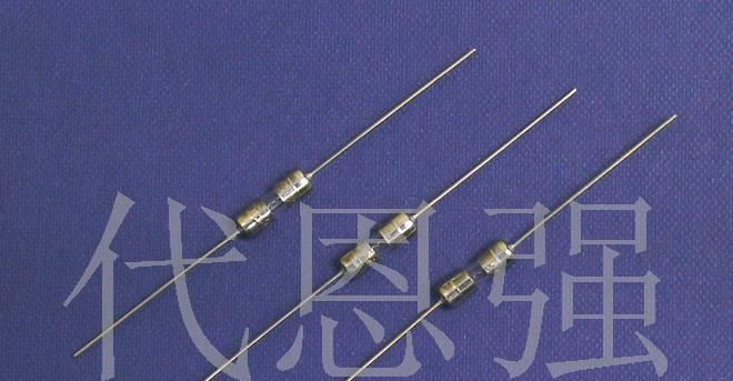 供应玻璃管保险丝（单帽引线）