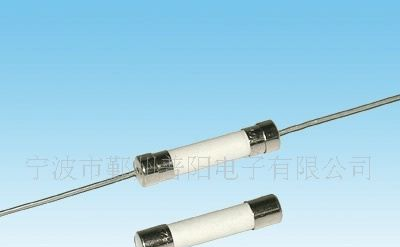 陶瓷保险丝1A/250V