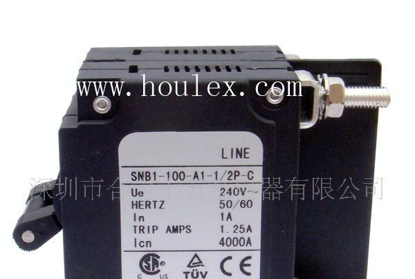 DC 电磁式断路器SNB1-100-2P-C