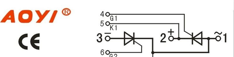 厂家直销 SKKT-60A/1600V 普通晶闸管模块 和ZK系列配套使用