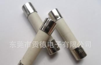 保险管（厂家重特价出售保险管，欢迎来电咨询）供应保险管