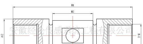 柱式拉压力传感器（大量程）/用于天车称料斗称等力的测量