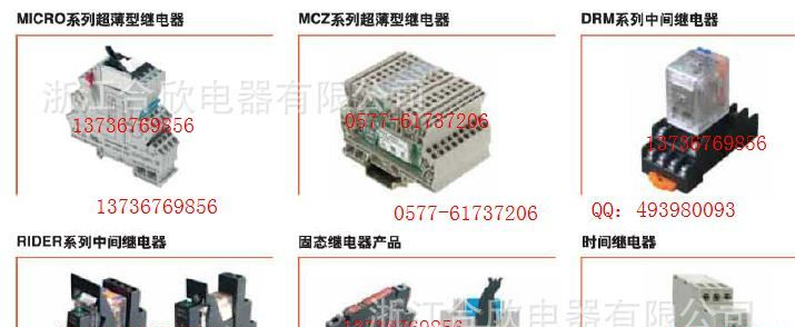 RRD221024 DC24V订货号8690370000 德国魏德米勒通用功率继电器
