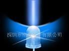 厂家供应高品质5MMLED白发兰灯蓝光
