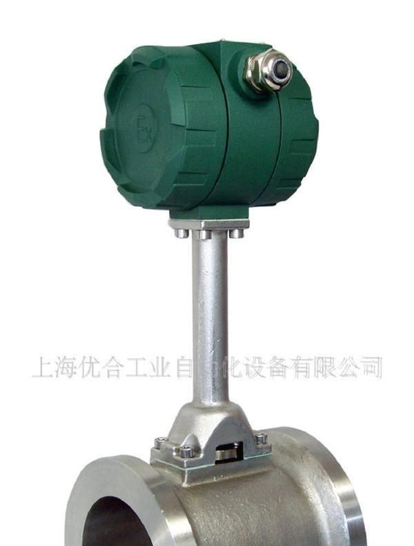 气体流量计,蒸汽流量计,涡街流量计(图)