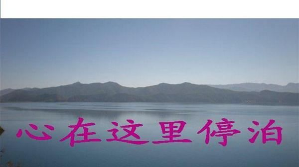 供应高频电子管 景光牌 8T25RA 一只起批