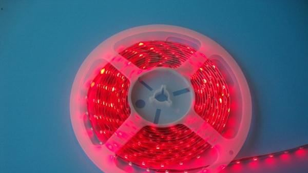 厂家大量生产LED灯条灯带   表面滴胶 LED软灯条 IP65  LED灯带