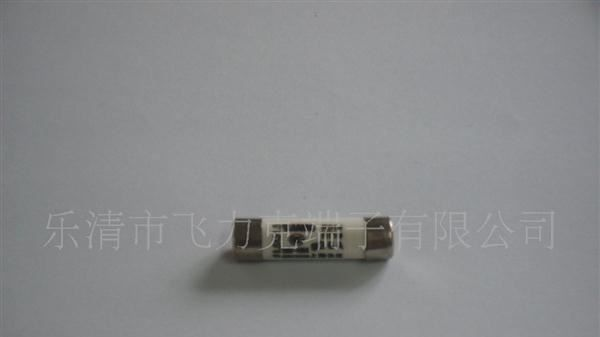 供应保险端子熔断管