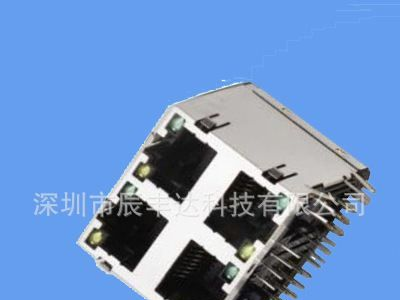 RJ45 DIP90度 8P8C 2*2
