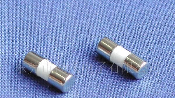 供应陶瓷保险管3.6x10mm