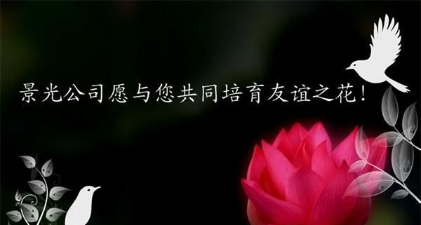 供应高频电子管 高频加热管7T62R(E3038)