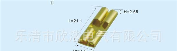 接线端子BXH621-6.2*0.8—保险端子、汽摩家电接插件,乐清连接器