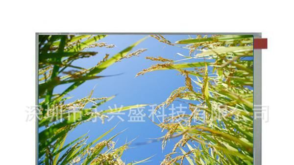 群创6.5寸高亮400LCD显示屏AT065TN14
