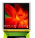 OLED屏  高品质 优质画面 显示产品