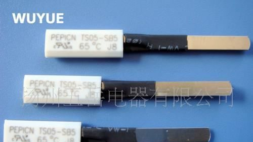 供应TS05  超薄电池保护器 品质可靠 厂家直销