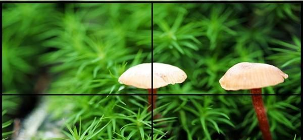 云南46寸液晶拼接屏，昆明55寸60寸液晶电视墙CYL系列