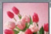 LTM084P363/工控系统及装备,8.4寸LCD，工业液晶屏