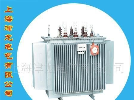 S9 型6～10kV /0.4双绕组无励磁调压油浸式配电变压器