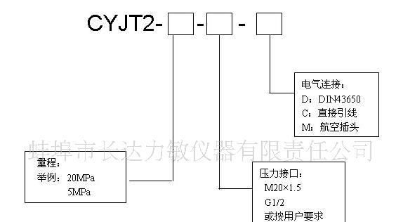 供应 中温普通 压力传感器 CYJT2(图)