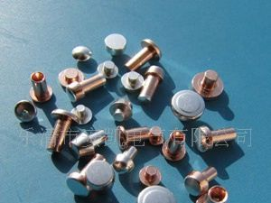 厂家直销快速电热水器、水龙头银触点(图)