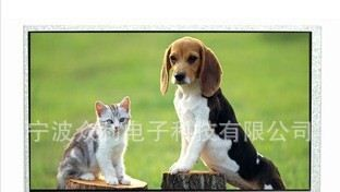 长期供应各种尺寸的TFT液晶屏/TFT7寸LCD液晶显示屏/TFTLCD屏