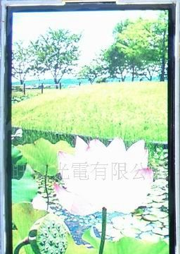 供应2.8 吋 WQVGA IPS cell