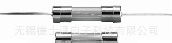 玻璃电流保险丝 玻璃保险丝 双帽引线电流保险丝3.6*10