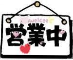 供应叉车用大电流连接器/50A大电流连接器