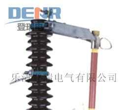 供应RW4-10/100-200A跌落式熔断器