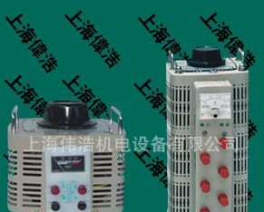 【厂家热销】TDGC2 TSGC2单相/三相接触式调压器