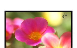 深圳1500亮度37寸户外广告屏